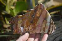 Polished One side Polished Nguni Jasper Slices  x 6 From Southern Africa