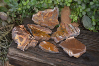 Polished One side Polished Nguni Jasper Slices  x 6 From Southern Africa