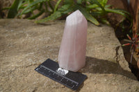 Polished Pink Rose Quartz Points x 4 From Madagascar