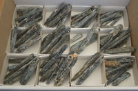 Natural Blue Kyanite Crystals  x 65 From Zimbabwe