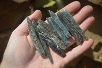 Natural Blue Kyanite Crystals  x 65 From Zimbabwe