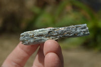 Natural Blue Kyanite Crystals  x 65 From Zimbabwe