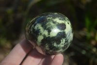 Polished Leopard Stone Standing Free Forms  x 6 From Zimbabwe