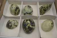 Polished Leopard Stone Standing Free Forms  x 6 From Zimbabwe