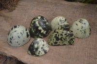 Polished Leopard Stone Standing Free Forms  x 6 From Zimbabwe