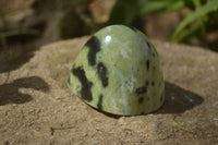 Polished Leopard Stone Standing Free Forms  x 6 From Zimbabwe