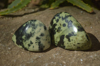 Polished Leopard Stone Standing Free Forms  x 6 From Zimbabwe