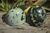 Polished Leopard Stone Standing Free Forms  x 6 From Zimbabwe