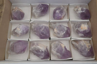 Polished Jacaranda Amethyst Crystals x 12 From Zambia