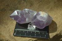 Polished Jacaranda Amethyst Crystals x 12 From Zambia