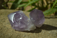 Polished Jacaranda Amethyst Crystals x 12 From Zambia