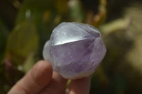 Polished Jacaranda Amethyst Crystals x 12 From Zambia