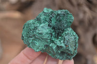 Natural Chatoyant Silky Malachite Specimens  x 6 From Congo