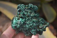 Natural Chatoyant Silky Malachite Specimens  x 6 From Congo