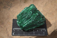 Natural Chatoyant Silky Malachite Specimens  x 6 From Congo