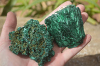 Natural Chatoyant Silky Malachite Specimens  x 6 From Congo