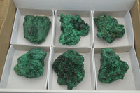 Natural Chatoyant Silky Malachite Specimens  x 6 From Congo