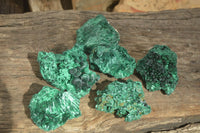 Natural Chatoyant Silky Malachite Specimens  x 6 From Congo