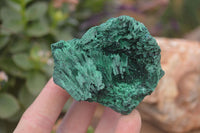 Natural Chatoyant Silky Malachite Specimens  x 6 From Congo