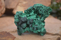 Natural Chatoyant Silky Malachite Specimens  x 6 From Congo