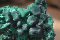 Natural Chatoyant Silky Malachite Specimens  x 6 From Congo