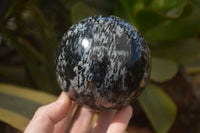 Polished Merlinite Gabbro Spheres  x 2 From Madagascar