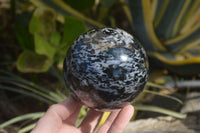 Polished Merlinite Gabbro Spheres  x 2 From Madagascar