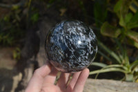 Polished Merlinite Gabbro Spheres  x 2 From Madagascar