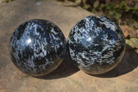 Polished Merlinite Gabbro Spheres  x 2 From Madagascar