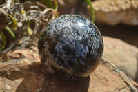 Polished Merlinite Gabbro Spheres  x 2 From Madagascar