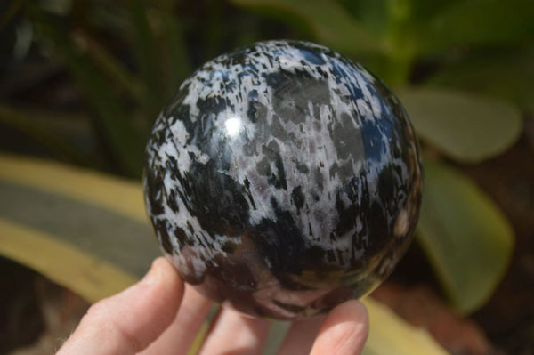 Polished Merlinite Gabbro Spheres  x 2 From Madagascar