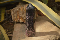 Polished Large Rhodonite Point x 1 From Madagascar