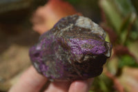 Natural Metallic Purpurite Cobbed Specimens  x 12 From Namibia