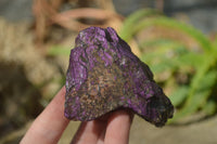 Natural Metallic Purpurite Cobbed Specimens  x 12 From Namibia