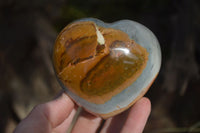 Polished Polychrome Jasper Hearts  x 6 From Madagascar