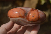 Polished Polychrome Jasper Hearts  x 6 From Madagascar