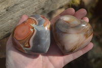 Polished Polychrome Jasper Hearts  x 6 From Madagascar