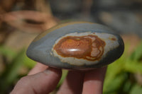 Polished Polychrome Jasper Hearts  x 6 From Madagascar