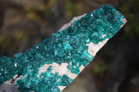 Natural XXL Emerald Dioptase Dolomite Specimen  x 1 From Congo