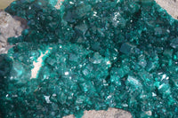 Natural XXL Emerald Dioptase Dolomite Specimen  x 1 From Congo