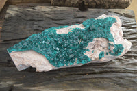 Natural XXL Emerald Dioptase Dolomite Specimen  x 1 From Congo