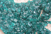 Natural XXL Emerald Dioptase Dolomite Specimen  x 1 From Congo