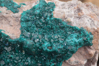 Natural XXL Emerald Dioptase Dolomite Specimen  x 1 From Congo