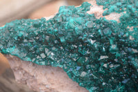 Natural XXL Emerald Dioptase Dolomite Specimen  x 1 From Congo