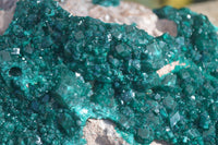 Natural XXL Emerald Dioptase Dolomite Specimen  x 1 From Congo