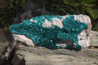 Natural XXL Emerald Dioptase Dolomite Specimen  x 1 From Congo