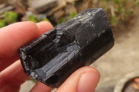 Natural Schorl Black Tourmaline Specimens  x 12 From Zimbabwe