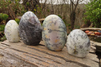 Polished Dendritic White Opal Standing Free Forms  x 4 From Madagascar