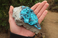 Natural Silica Chrysocolla Specimens  x 2 From Congo