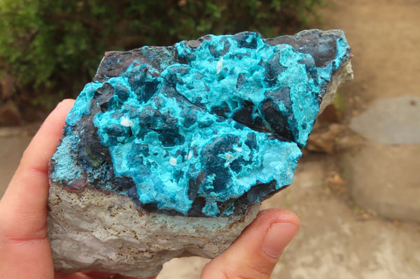 Natural Silica Chrysocolla Specimens  x 2 From Congo